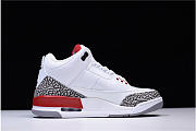 Air Jordan 3 Retro Hall of Fame 136064-116 - 2
