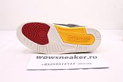 Air Jordan 3 SE Animal Instinct 2.0 CV3583-003 - 2