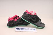 Nike SB Dunk Low Premier Northern Lights 724183-063 - 1