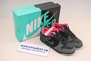 Nike SB Dunk Low Premier Northern Lights 724183-063 - 5