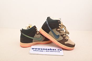 Nike SB Dunk High Concepts Turdunken DC6887-200