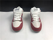 Nike dunk sb low Roller Derby 313170-601 - 6