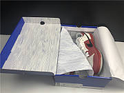 Nike dunk sb low Roller Derby 313170-601 - 5