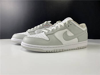 Nike SB Dunk Low Silver ash killer CU1726 201