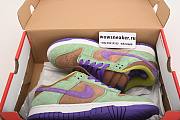 Nike Dunk Low Veneer (2020) DA1469-200  - 6