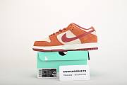 Nike SB Dunk Low Pro Dark Russet Cedar BQ6817-202  - 5