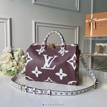 Louis Vuitton Speedy M40391 30X21X17 CM