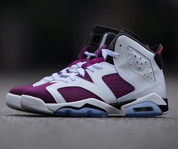 Air Jordan 6  Retro Grape 543390-127