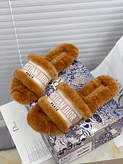 Dior Dway Slides Fur Brown - 3