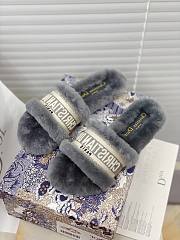 Dior Dway Slides Fur Grey - 6