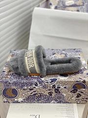Dior Dway Slides Fur Grey - 3