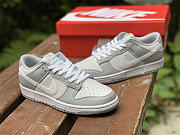 Nike Dunk Low Two Tone Grey DJ6188-001 - 5
