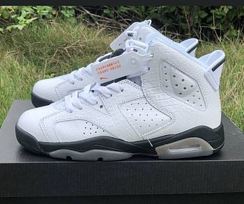 Air Jordan 6 Retro Alligator 384665-110