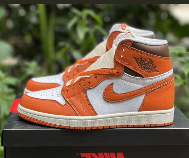 Air Jordan 1 Retro High OG Starfish DO9369-101 - 1