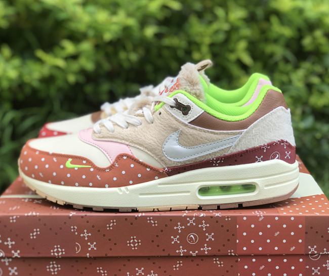 Nike Air Max 1 PRM Woman's Best Friend DR2553-111 - 1
