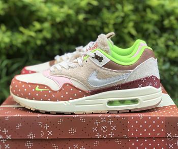 Nike Air Max 1 PRM Woman's Best Friend DR2553-111