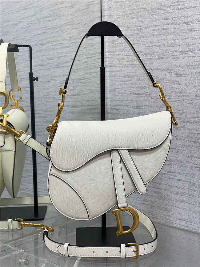 Dior Saddle Bag with Strap Latte Grained Calfskin Size 21x18x5CM - 1