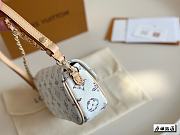 LV Wallet on Chain Ivy Size 23 x 12 x 4 cm - 5