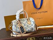 LV Bandouliere 20 Speedy Bag Size 20 x 13 x 12 cm - 1