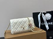 Chanel Mini WOC White Size 19x12x3cm - 1