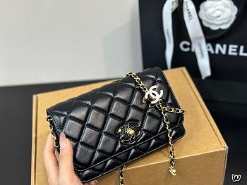 Chanel Mini WOC Black Size 19x12x3cm