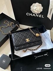 Chanel Mini WOC Round Black Size 19x12x3CM - 1