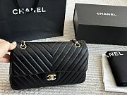 Chanel Medium Classic Flap Double Flap 25CM - 4