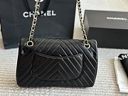 Chanel Medium Classic Flap Double Flap 25CM - 2