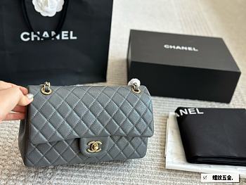Chanel Classic Bag Grey Gold Size 25CM