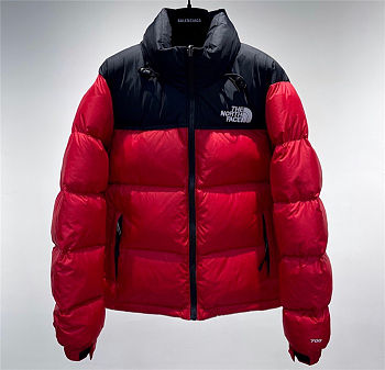 The North Face Down Jacket 01