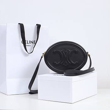 Celine Bag Black 198603 Size 20x15x6cm