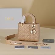 Dior Apricot Lady My ABCDIOR B930280 Size 20x17x8cm - 1