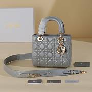 Dior Gray Lady My ABCDIOR B930282 Size 20x17x8cm - 1
