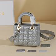 Dior Gray Lady My ABCDIOR B930282 Size 20x17x8cm - 5