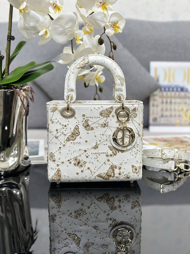 Dior Embroidered Butterfly White Gold Size 20x16x8cm - 1