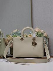 Dior Litchi Leather Milk White B930525 Size 30x120x13cm - 6
