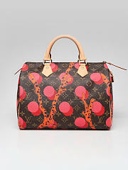 Louis Vuitton Speedy 30 Bag Size 30CM - 1