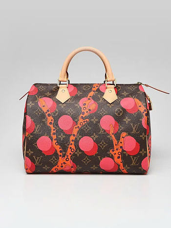 Louis Vuitton Speedy 30 Bag Size 30CM