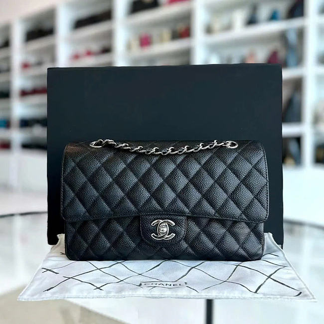 Chanel Medium Classic Flap Bag Silver 25CM - 1