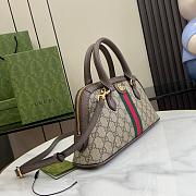 GG OPHIDIA BAG 795249 Size 31x16x8CM - 5