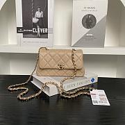 Chanel Flap Bag Metalic Beige Size 20×11×5cm - 4