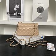 Chanel Flap Bag Metalic Beige Size 20×11×5cm - 5