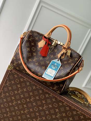 LV Speedy Soft 30 Crafty MonogramM12245 Size 30x21x7cm