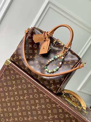 LV Speedy Soft 30 Crafty MonogramM12246 Size 30x21x7cm
