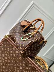 LV Speedy Soft 30 Crafty MonogramM12246 Size 30x21x7cm - 3