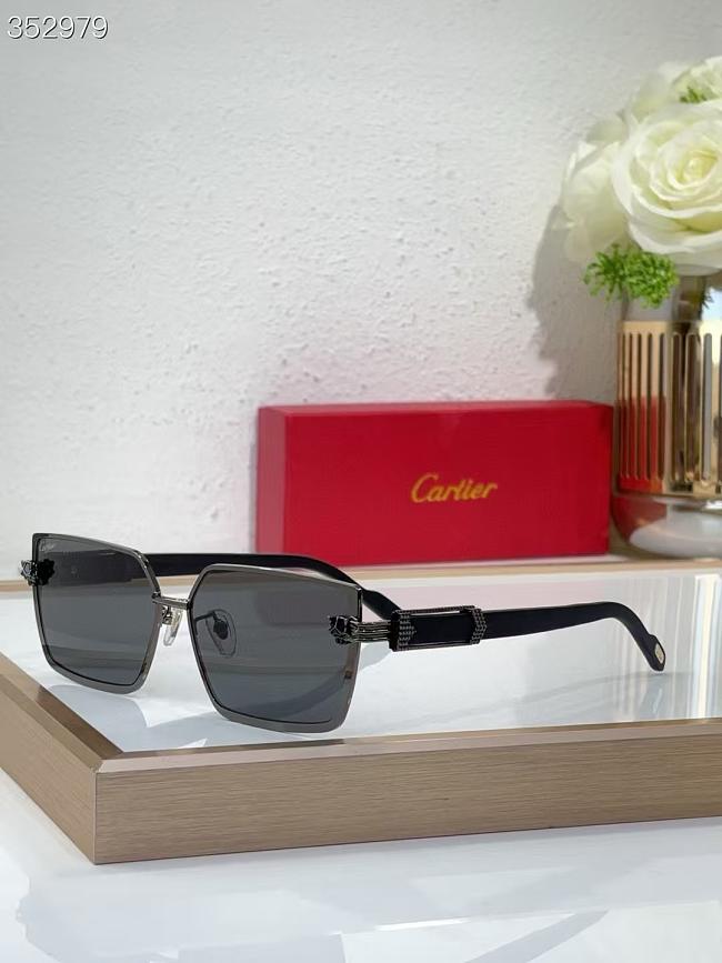 Cartier Glasses All Black CT0886 - 1
