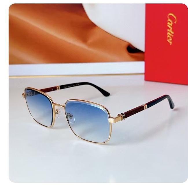 Cartier Sunglasses Blue CT 0491 - 1