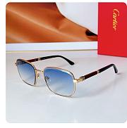 Cartier Sunglasses Blue CT 0491 - 1
