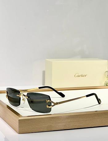 Cartier Sunglasses Black CT 0550