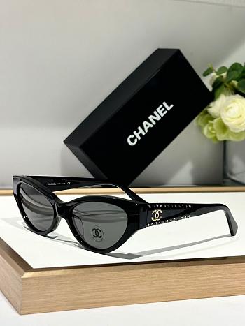 Chanel Sunglasses CH 9163-01